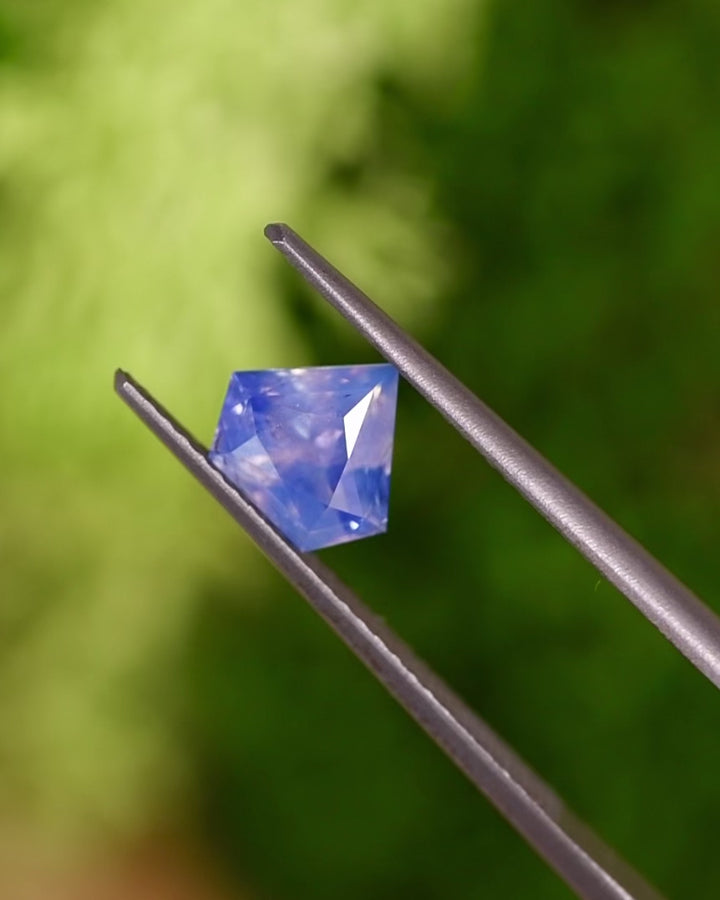 Video of 1.28CT opalescent parti sapphire rotating in tweezers under sunlight, showing its play of white and cornflower blue tones and brilliance of the shield modified brilliant cut, unheated sapphire from Sakaraha, Madagascar