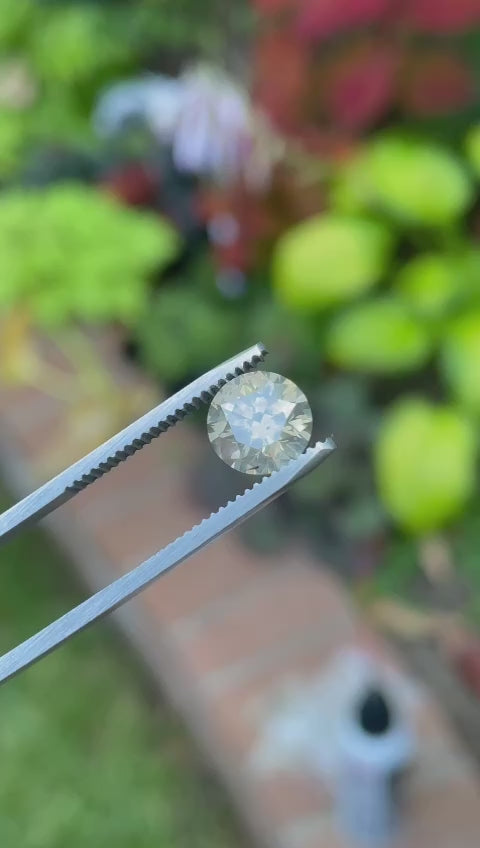 Video highlighting the intricate details of a Fancy Gray Diamond, 2.53 carats, Round Brilliant cut, resting on a green leaf. Origin: South Africa. Dimensions: 8.56 x 8.50 x 5.56 mm. No treatment. Total Price: $4,160.59.