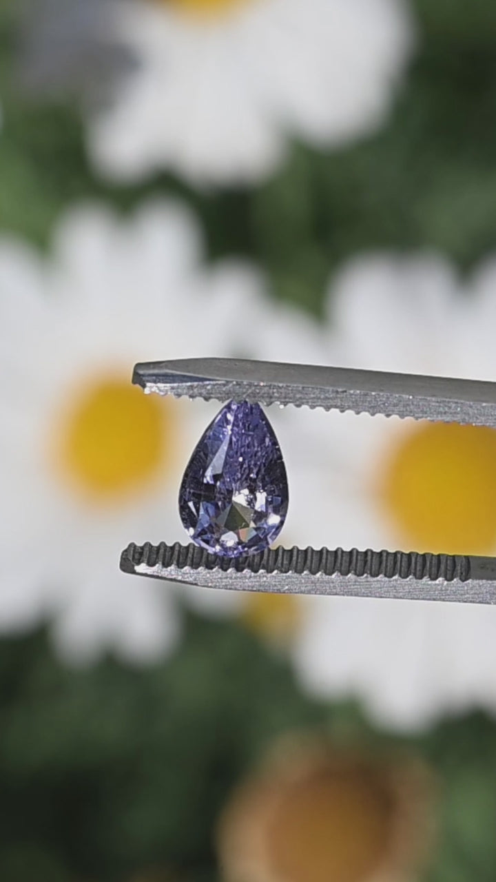Precision pear cut lavender Madagascar sapphire rotating in tweezers under natural light