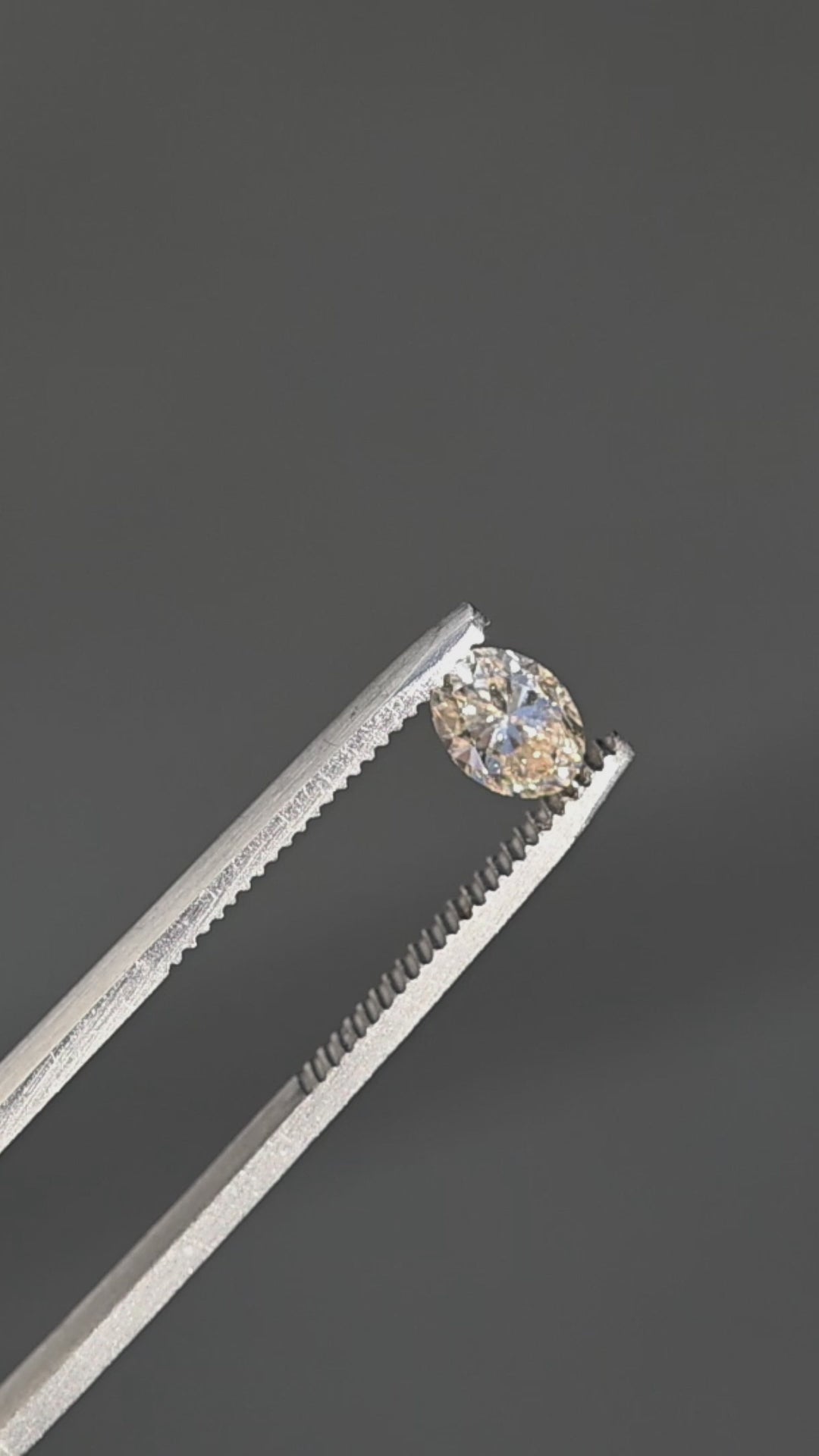 1.01ct champagne c3 oval brilliant cut diamond rotating in gem tweezers under natural direct sunlight showing off natural color and brilliant sparkle.