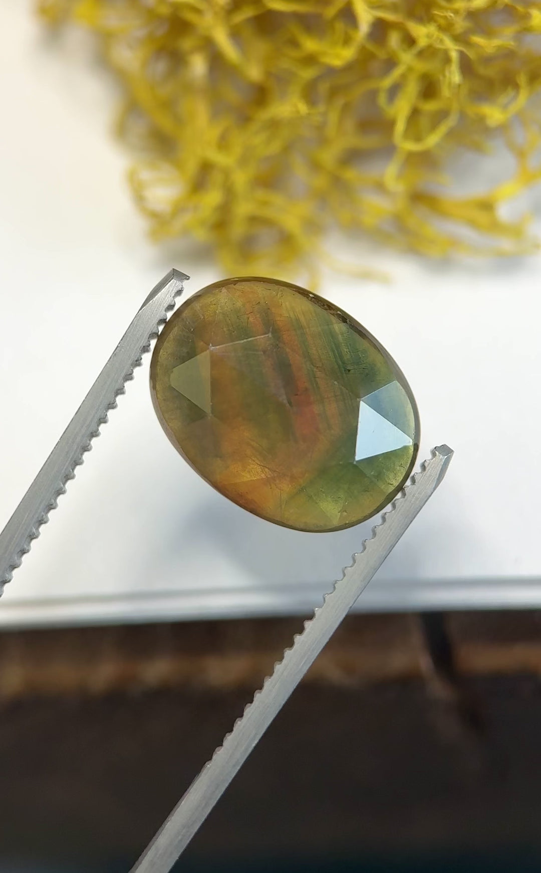 8.17ct Thai parti sapphire turned in tweezers under natural light, highlighting triangular rose facets and strong green-orange color zoning.