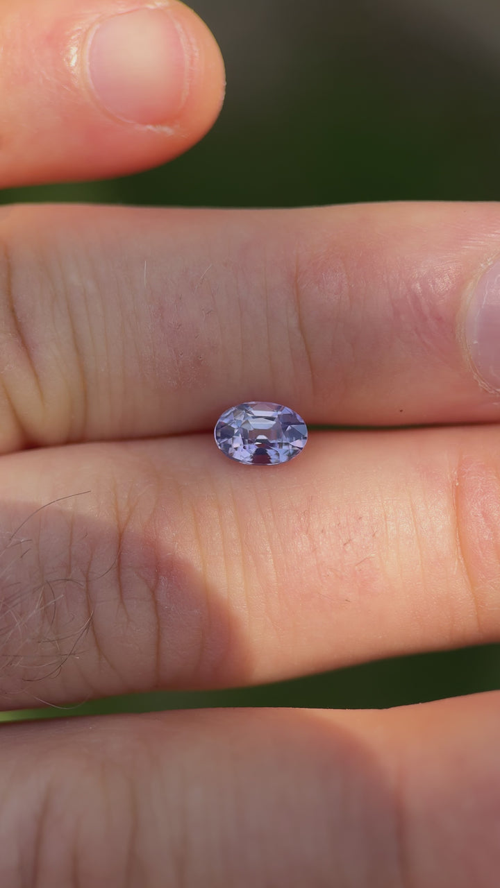 Lilac violet sapphire from Sri Lanka rotating in sunlight, showing color play and brilliant oval cut