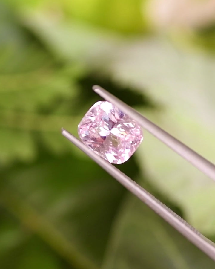 Video of 1.57CT pink peach sapphire rotating in gemstone tweezers, revealing soft pastel hues, internal brilliance, and cushion cut reflections of the unheated sapphire from Sakaraha, Madagascar.