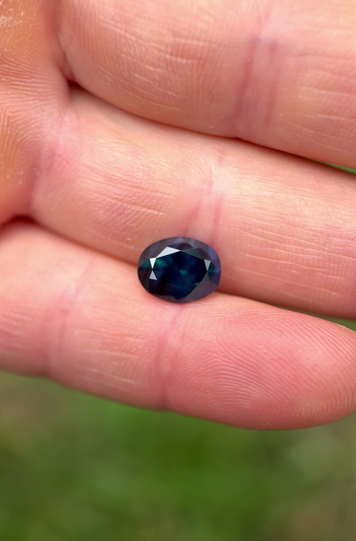 Dynamic hand-held video of an unheated oval sapphire from Nigeria, showcasing its rich peacock color and brilliant cut under natural light.