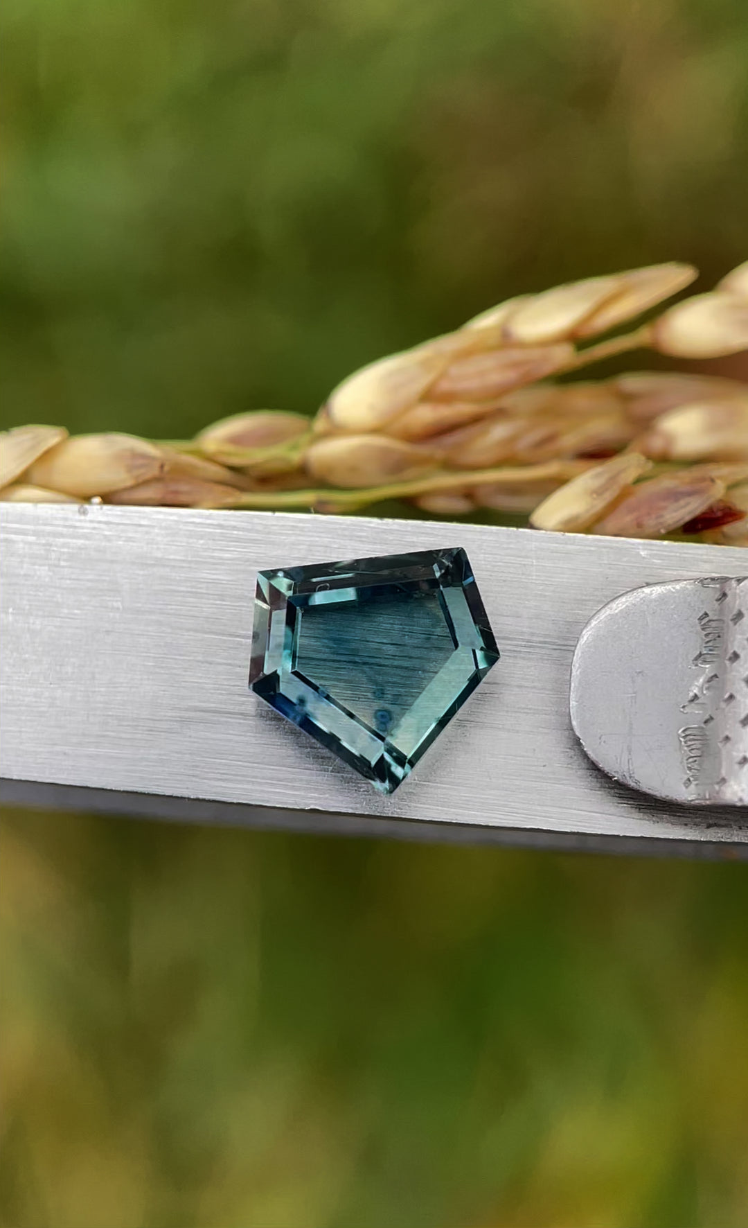  A close-up video of a custom step cut shield sapphire, 1.70 carats, being examined with tweezers to display its vibrant parti-coloration and geometric precision.