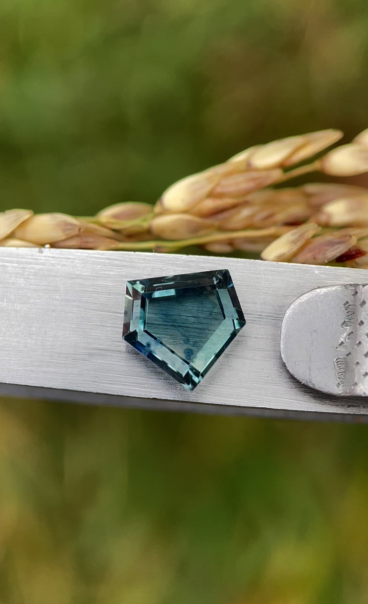  A close-up video of a custom step cut shield sapphire, 1.70 carats, being examined with tweezers to display its vibrant parti-coloration and geometric precision.
