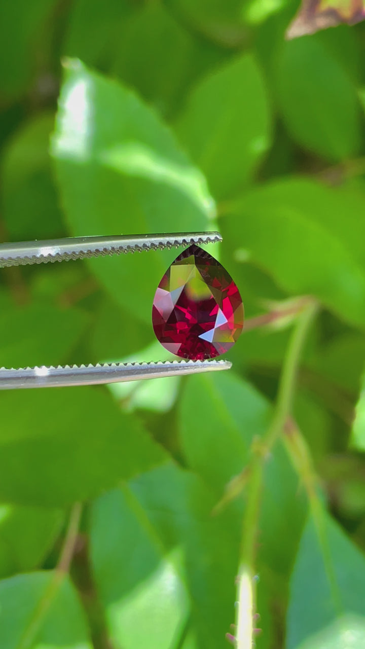 Video displaying the rich colors and brilliance of a 2.69 carat pear-cut Garnet from Mombo, Tanzania, showcasing its natural red, pink, and purple hues.