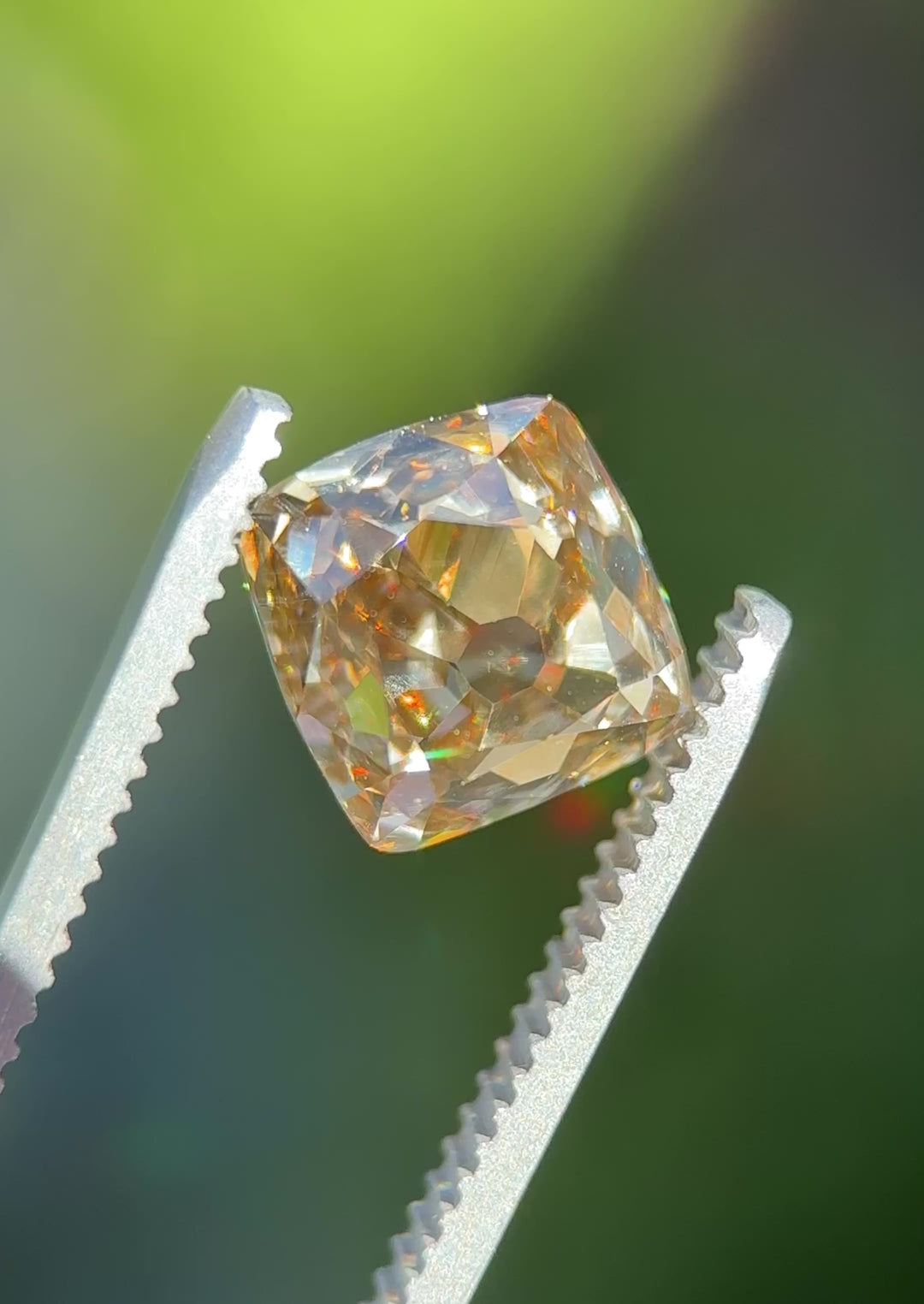 Macro video of a Canadian champagne diamond turning in tweezers, displaying broad vintage facets and rich brown-gold sparkle from every angle.