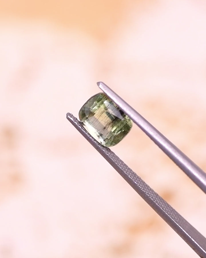 1.45CT Peridot: Green Black Cushion Mix Cut