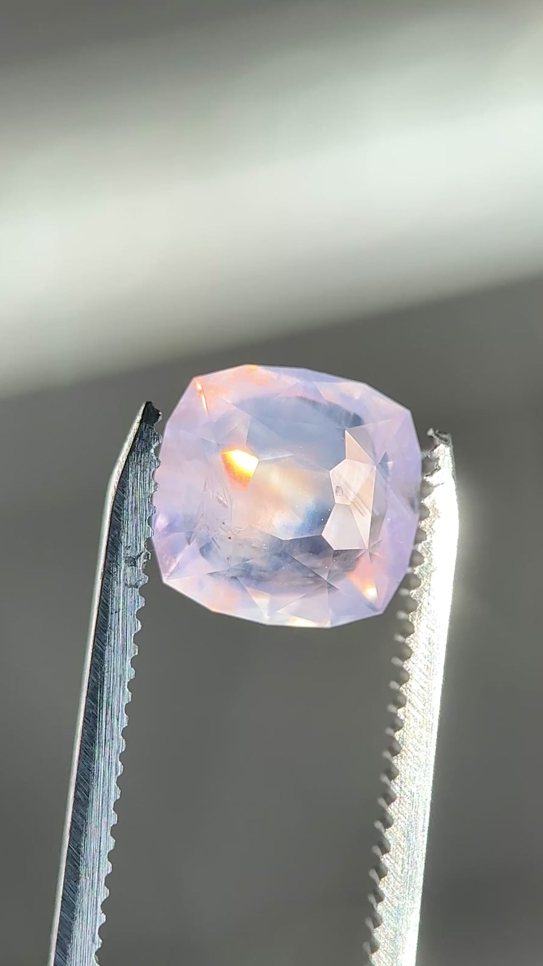 5.12ct opalescent pink sapphire held in tweezers rotating in natural light highlight precision faceting and natural opalescence