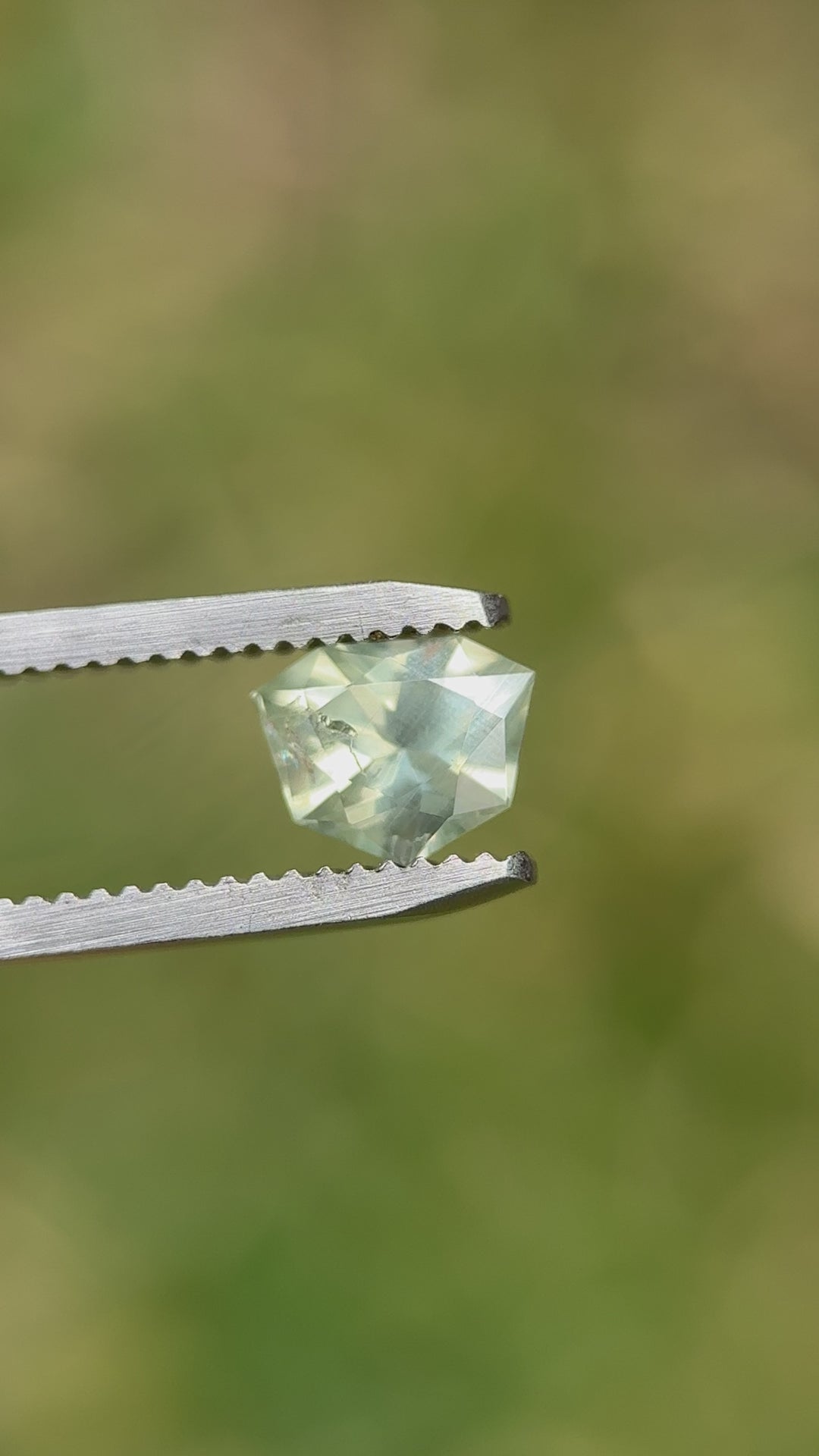 1.24ct sapphire from Chimwadzulu Hill, Malawi, in shield brilliant cut, showing flashes of yellow, green, and blue as it's moved in tweezers against a natural outdoor background.