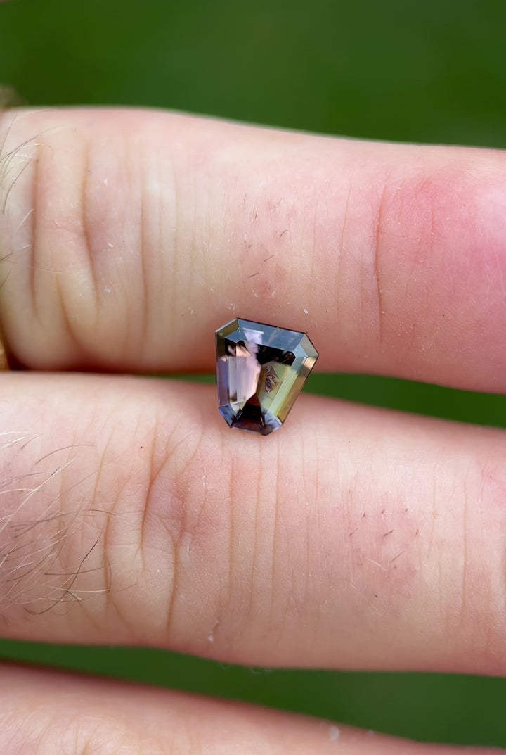 1.68CT Tanzanite gemstone held between fingers showcasing the shield cut and vibrant multicolor reflections.