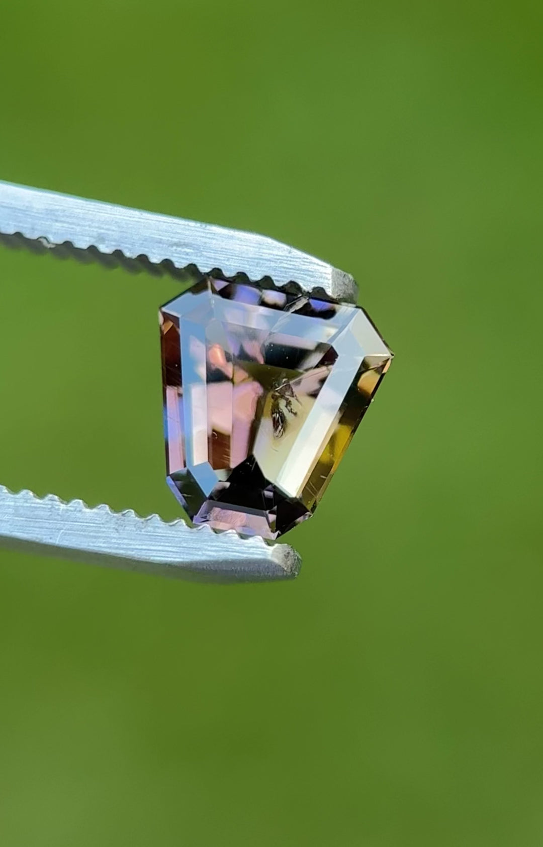 Rotating 1.68 carat Tanzanite in custom mix shield cut displaying a dynamic shift of green, yellow, and purple colors in natural light.