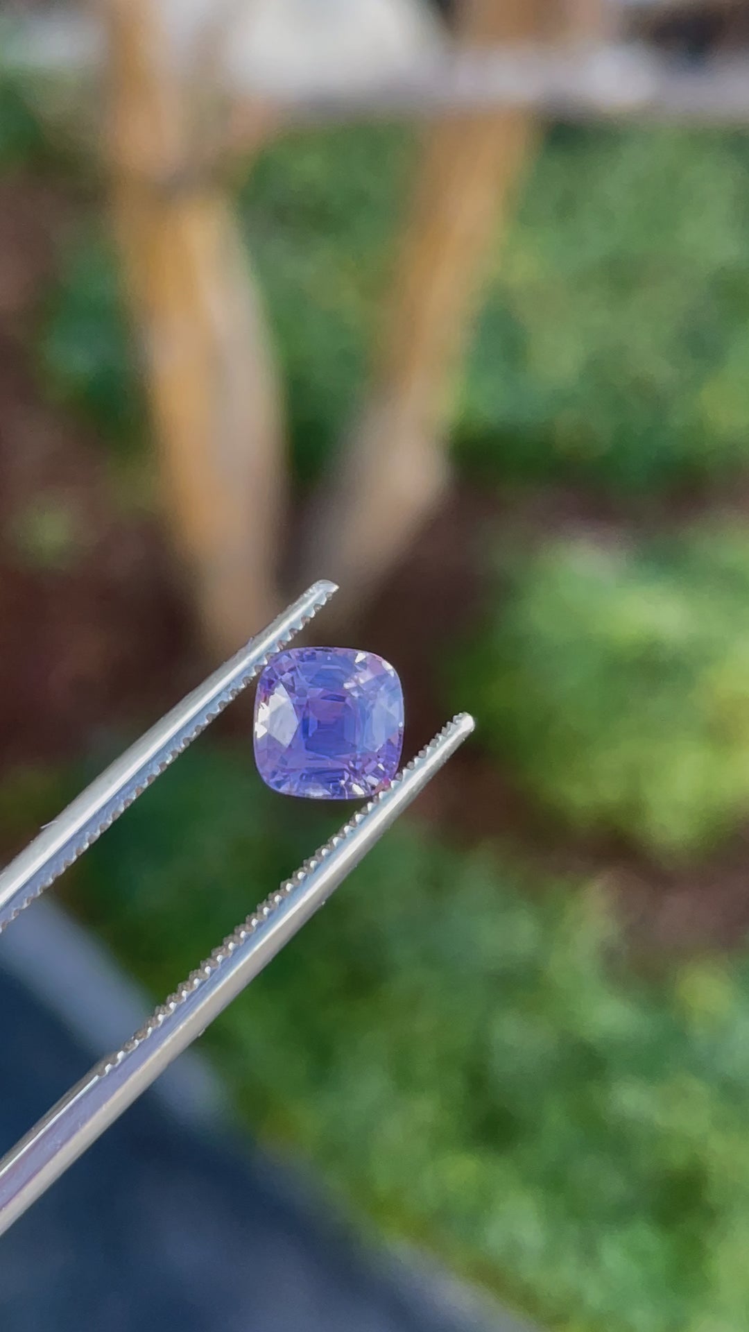 360-degree video showcasing a 1.53 carat cushion cut sapphire gemstone with opalescent pink to purple hues, untreated, and from Sri Lanka.
