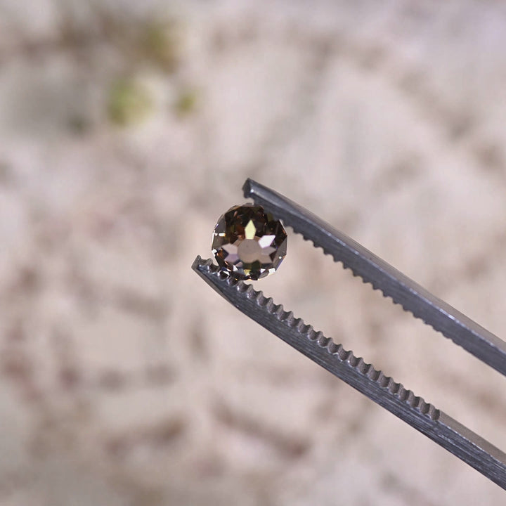 Loose fancy brown Mughal cut diamond turning in light, revealing its faceted dome structure and natural color from South Africa.