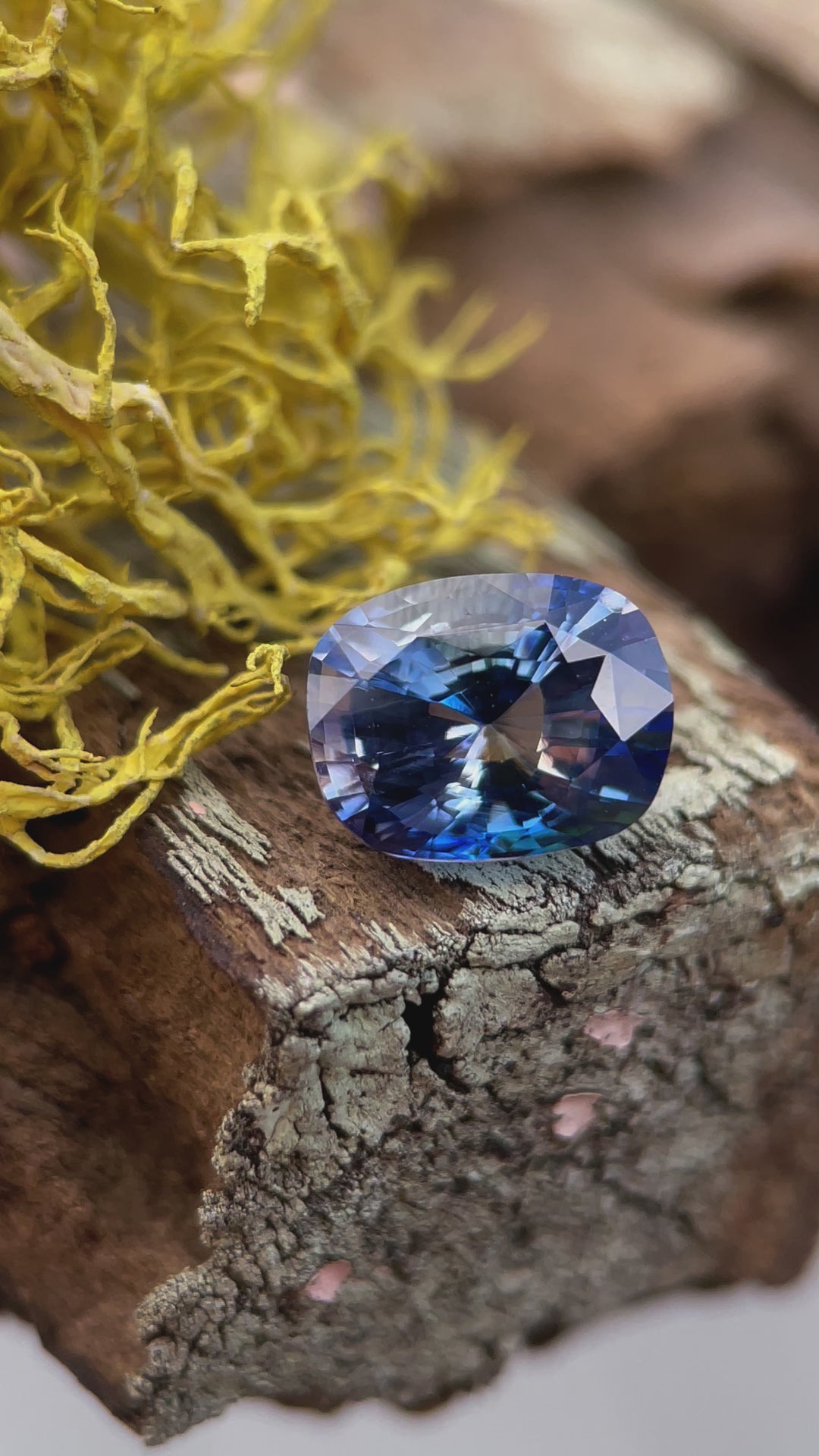 Video showcasing a bi-color sapphire with vibrant mauve and blue hues. Cushion cut, weighing 2.28 carats. Origin: Sri Lanka, heated for enhanced brilliance.