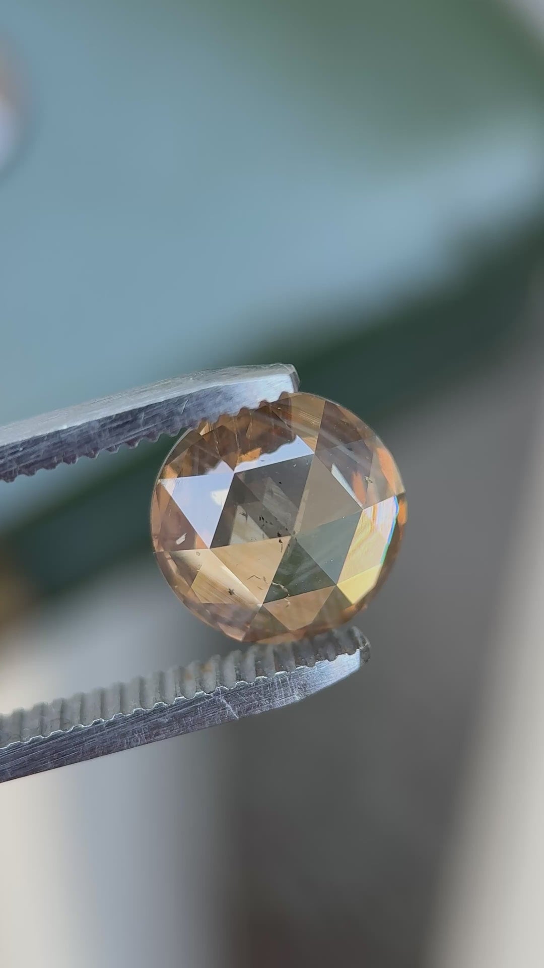 6.75CTW Diamond Pair: Tiger Striped Rose Cut
