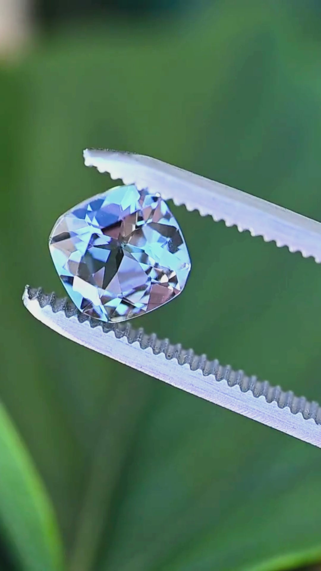 A custom modified square radiant Tanzanite slowly turning in jeweler's tweezers, displaying vivid pleochroism, bold brilliance, and exceptional precision faceting.