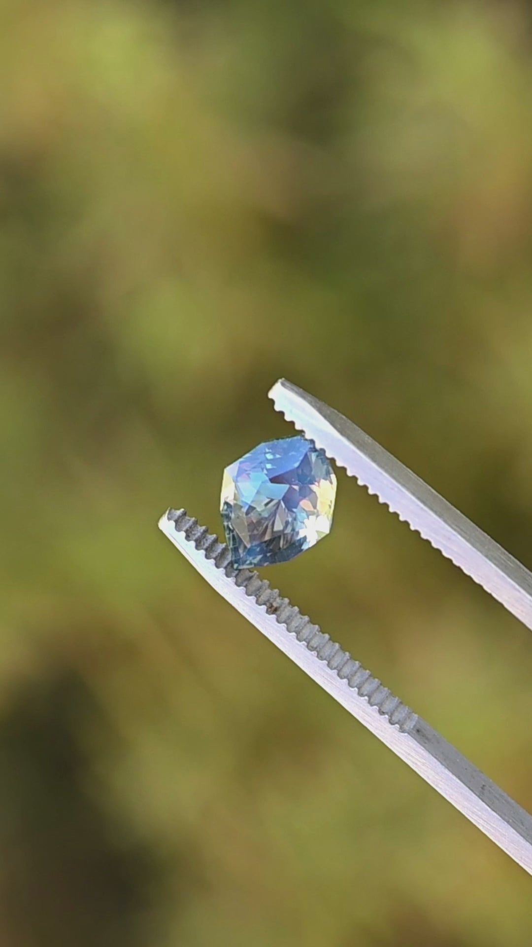 3.02ct opalescent teal parti marquise cut sapphire held in gem tweezers rotating under natural light.