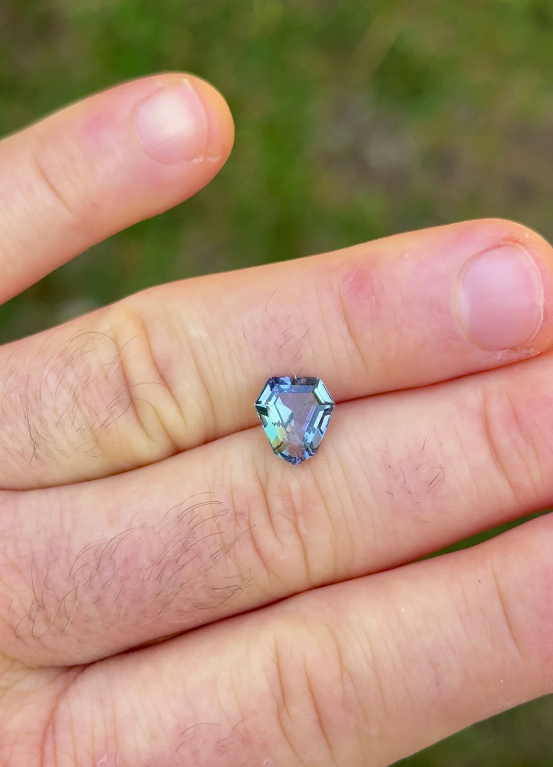 Outdoor video of shield cut Tanzanite on hand, capturing natural light interplay and mermaid-like color zoning