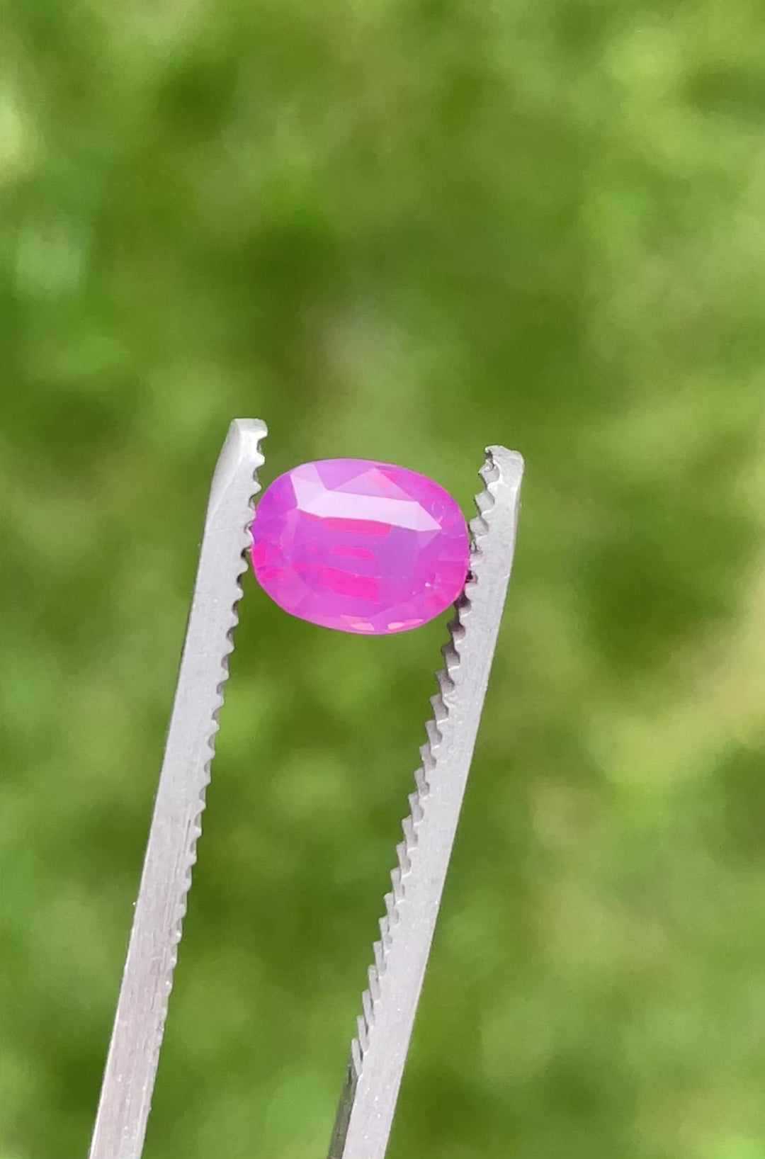 360-degree video of a 1.53ct untreated sapphire from Ratnapura, Sri Lanka, showing vibrant pink and purple flashes in natural light.