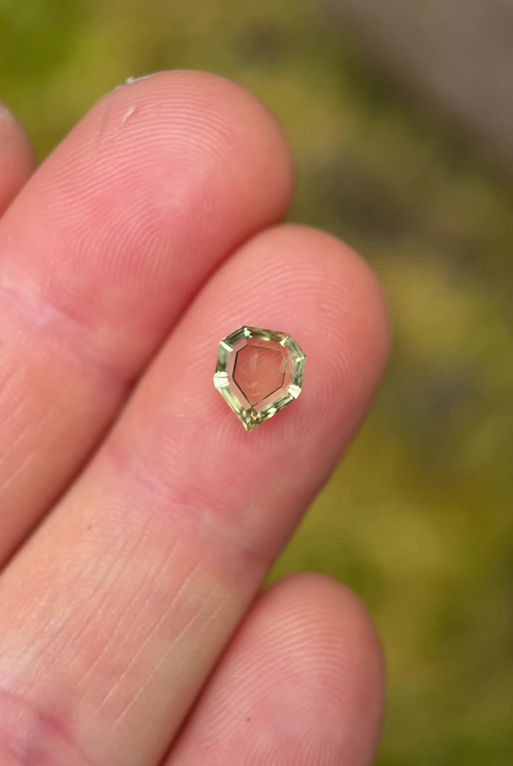 1.55CT Sapphire: Yellowish Green Shield Portrait Cut