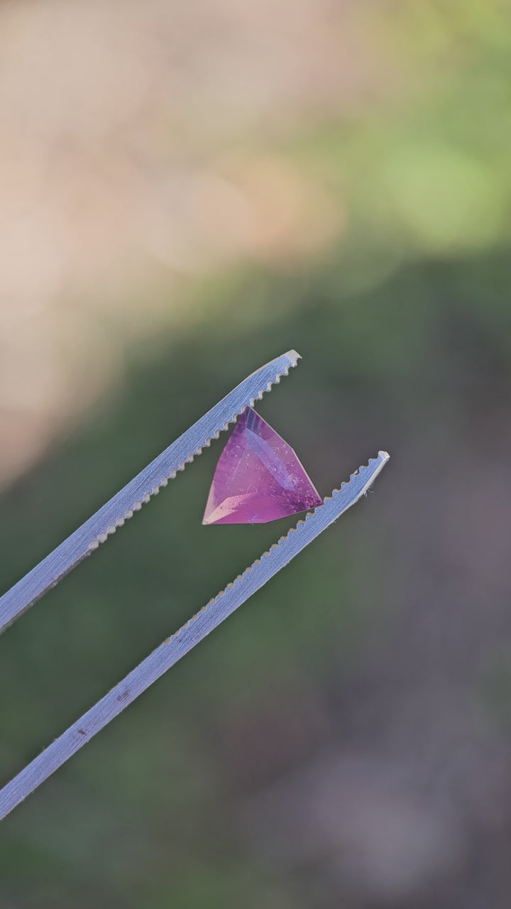 Dive into the world of 'Raspberry Radiance,' where the enchanting Umba River meets the rich hues of Tanzania in a mesmerizing 1.65-carat No Heat Sapphire. 🎥 Watch as this exceptional gem, with its custom modified trillion cut, showcases its captivating raspberry red hue and modern refinement. Immerse yourself in the allure of nature's beauty. 💖 #RaspberryRadiance #SapphireGem #UmbaRiver #JewelryLovers #GemstoneArtistry