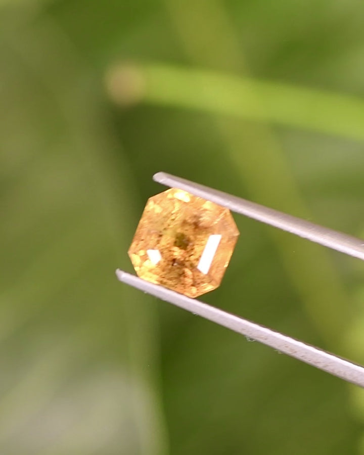 Video of 1.71CT pepper yellow orange sapphire rotating in tweezers under natural light, showcasing golden-orange brilliance, pepper inclusions, and precise Asscher cut symmetry, unheated gemstone from Umba River Valley, Tanzania.