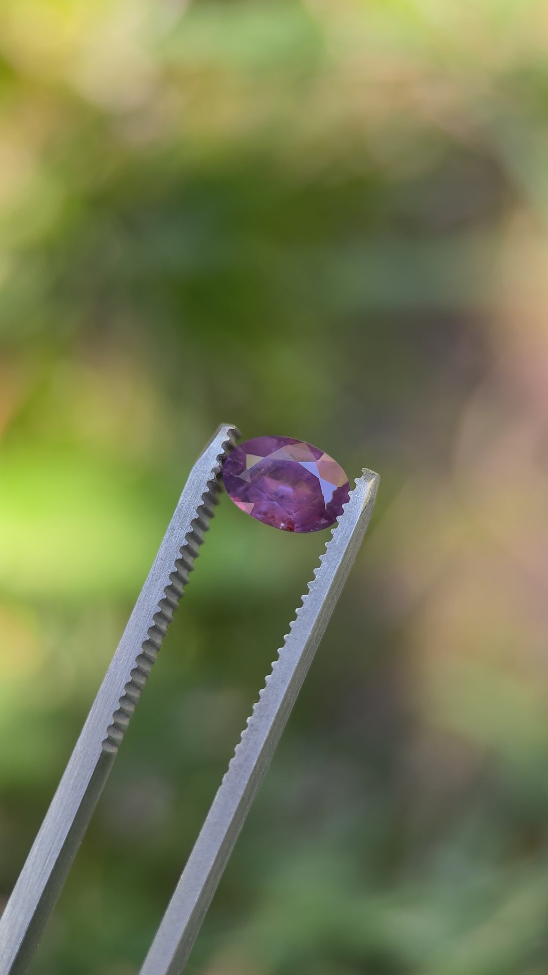 Macro video of custom oval Umba sapphire in bright light revealing vivid color shift from purple to pink.