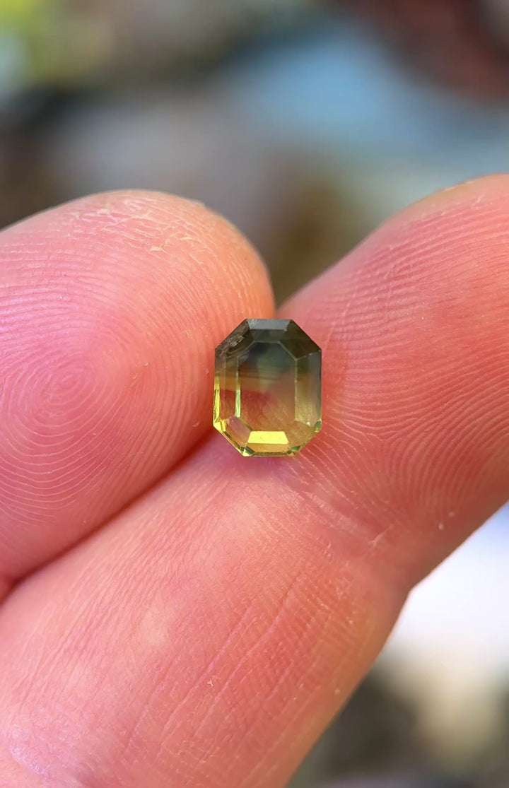 Loose sapphire with parti color zoning between vibrant yellow tones and deep grey resting on fingertips showing off antique cut.