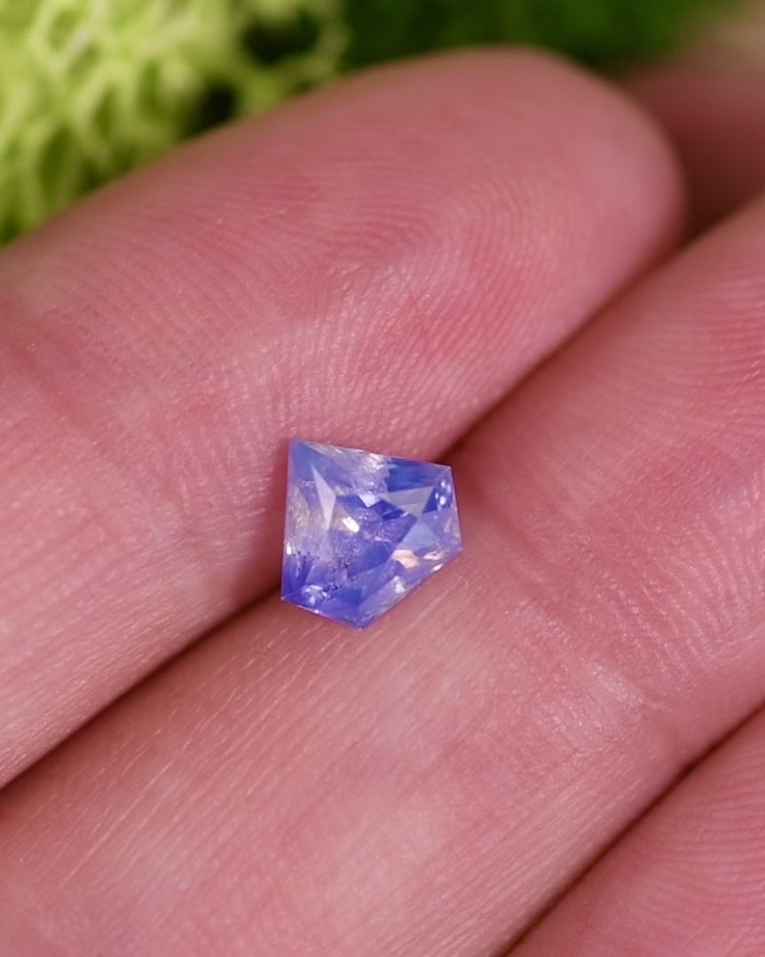 Macro video of 1.28 carat opalescent white and blue parti sapphire resting on a natural surface, moving gently to display its unique color zoning and shield modified brilliant cut, untreated gem from Sakaraha, Madagascar.