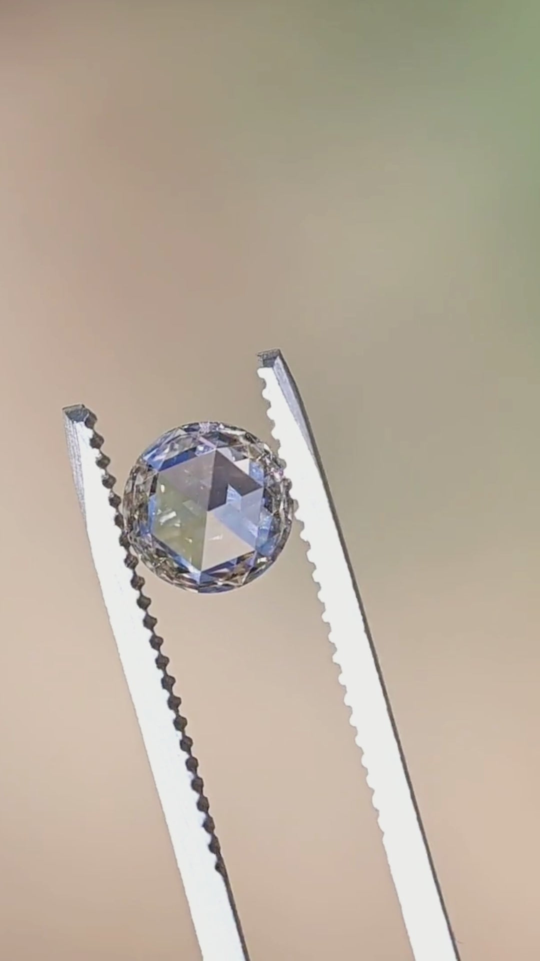 A rotating close-up of this untreated South African rose cut diamond reveals its balanced round outline, delicate champagne-grey body color, and broad mirror-like reflections from every angle.
