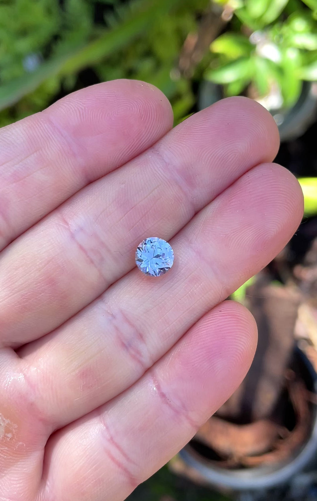 Video of a 2.52-carat lilac pink sapphire, featuring a custom antique-style transitional round brilliant cut and pastel sparkle in natural light.