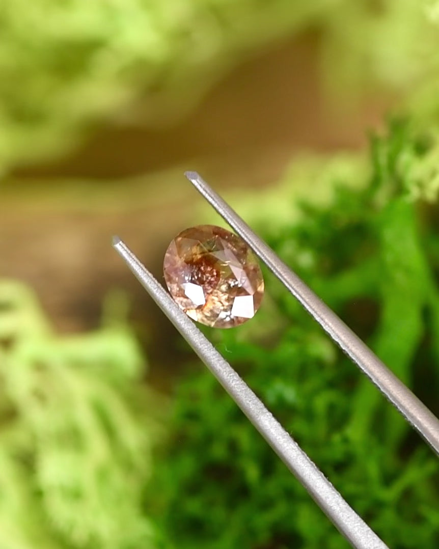 Video of 1.05CT orange peach red sapphire turning in tweezers, showing natural inclusions and reflections across its custom oval cut, unheated sapphire from Umba River Valley, Tanga, Tanzania.