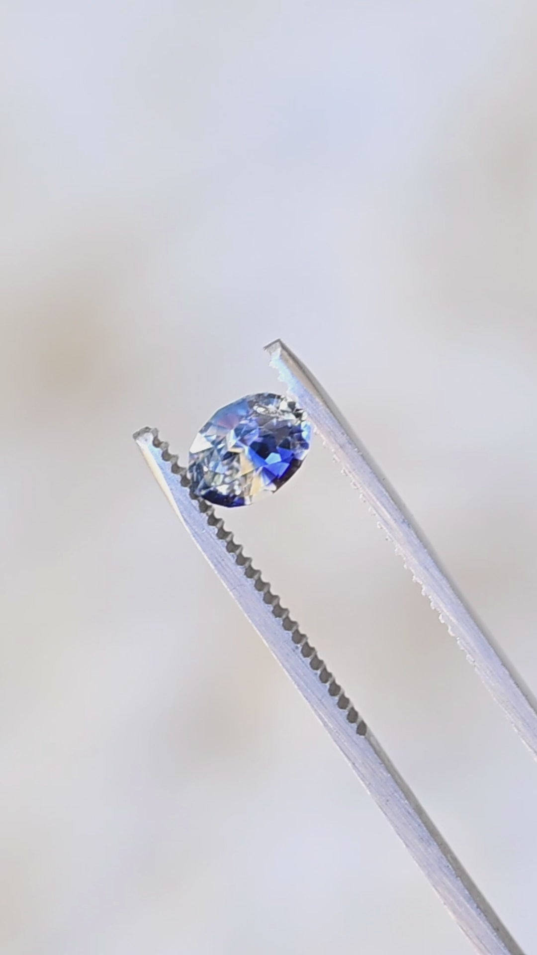 1.60ct blue and white bi color parti sapphire from Sri Lanka rotating in gem tweezers under natural light.