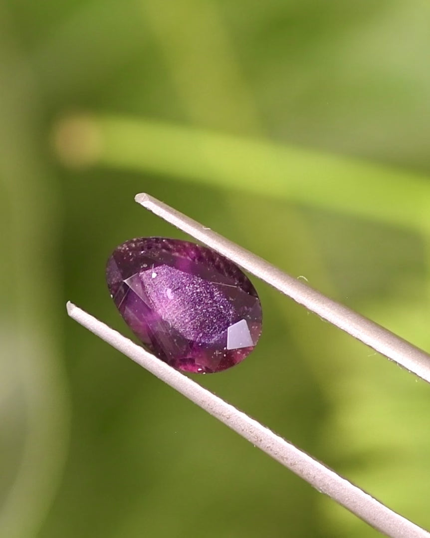 Video of 1.98CT plum purple sapphire rotating in gemstone tweezers under sunlight, capturing shifting hues and reflections through its modified tear drop cut, unheated sapphire from Umba River, Tanzania.