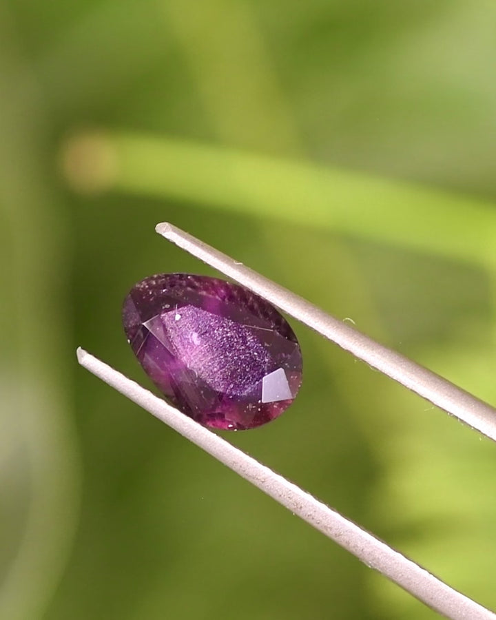 Video of 1.98CT plum purple sapphire rotating in gemstone tweezers under sunlight, capturing shifting hues and reflections through its modified tear drop cut, unheated sapphire from Umba River, Tanzania.