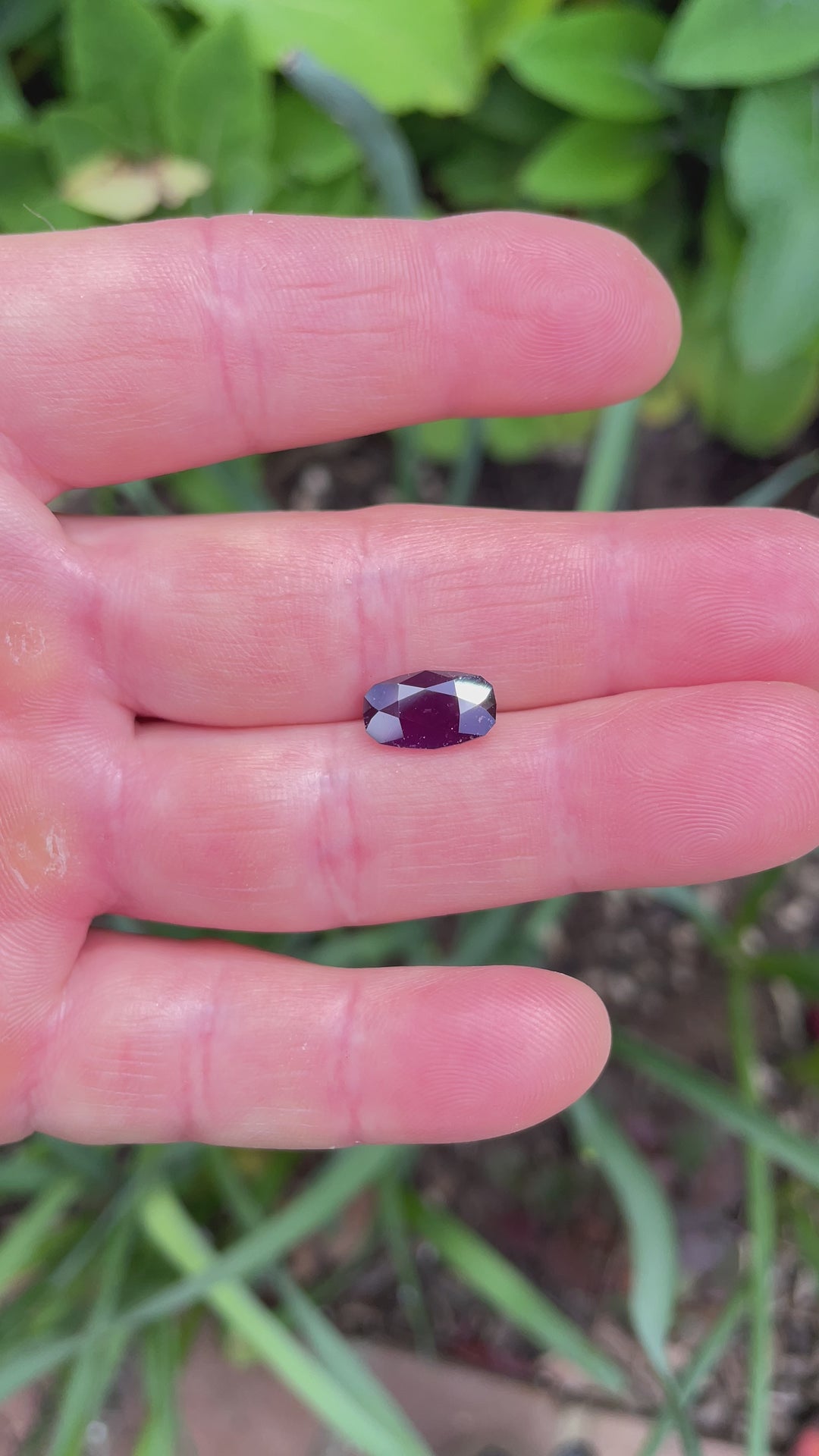 Outdoor video of a 3.81-carat sapphire from Tanzania, capturing raspberry and plum hues under natural sunlight.