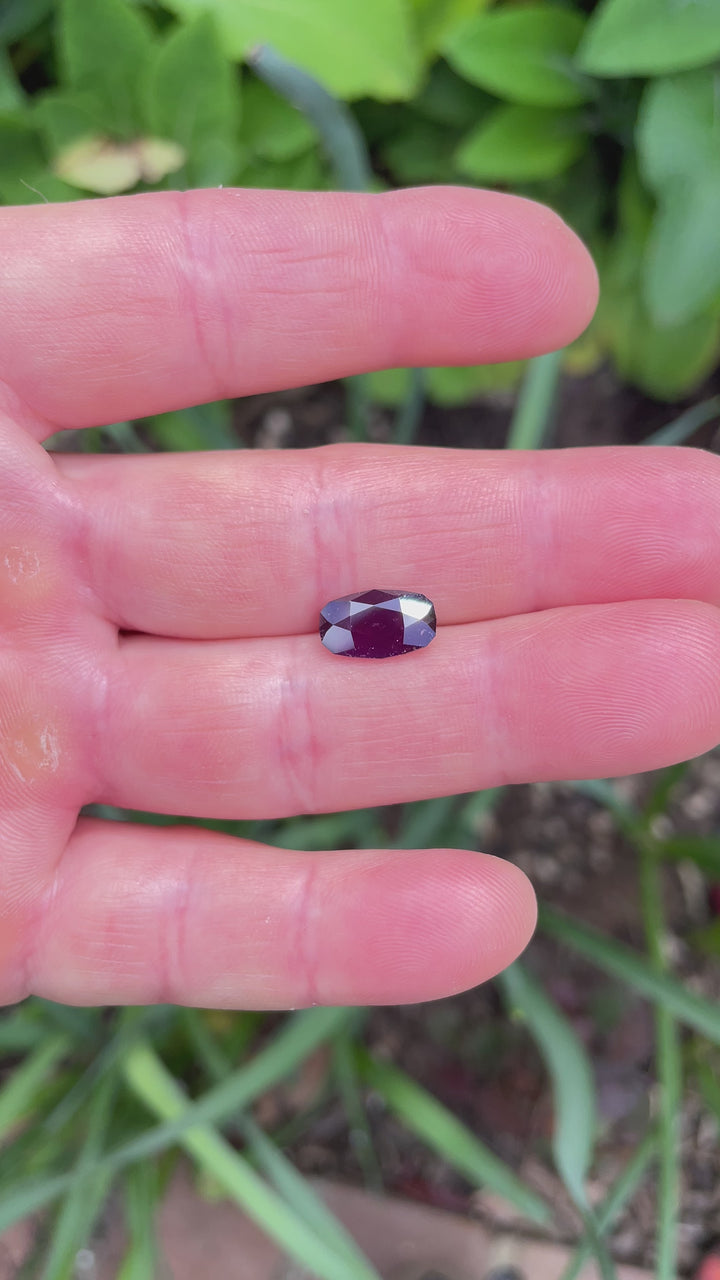 Outdoor video of a 3.81-carat sapphire from Tanzania, capturing raspberry and plum hues under natural sunlight.