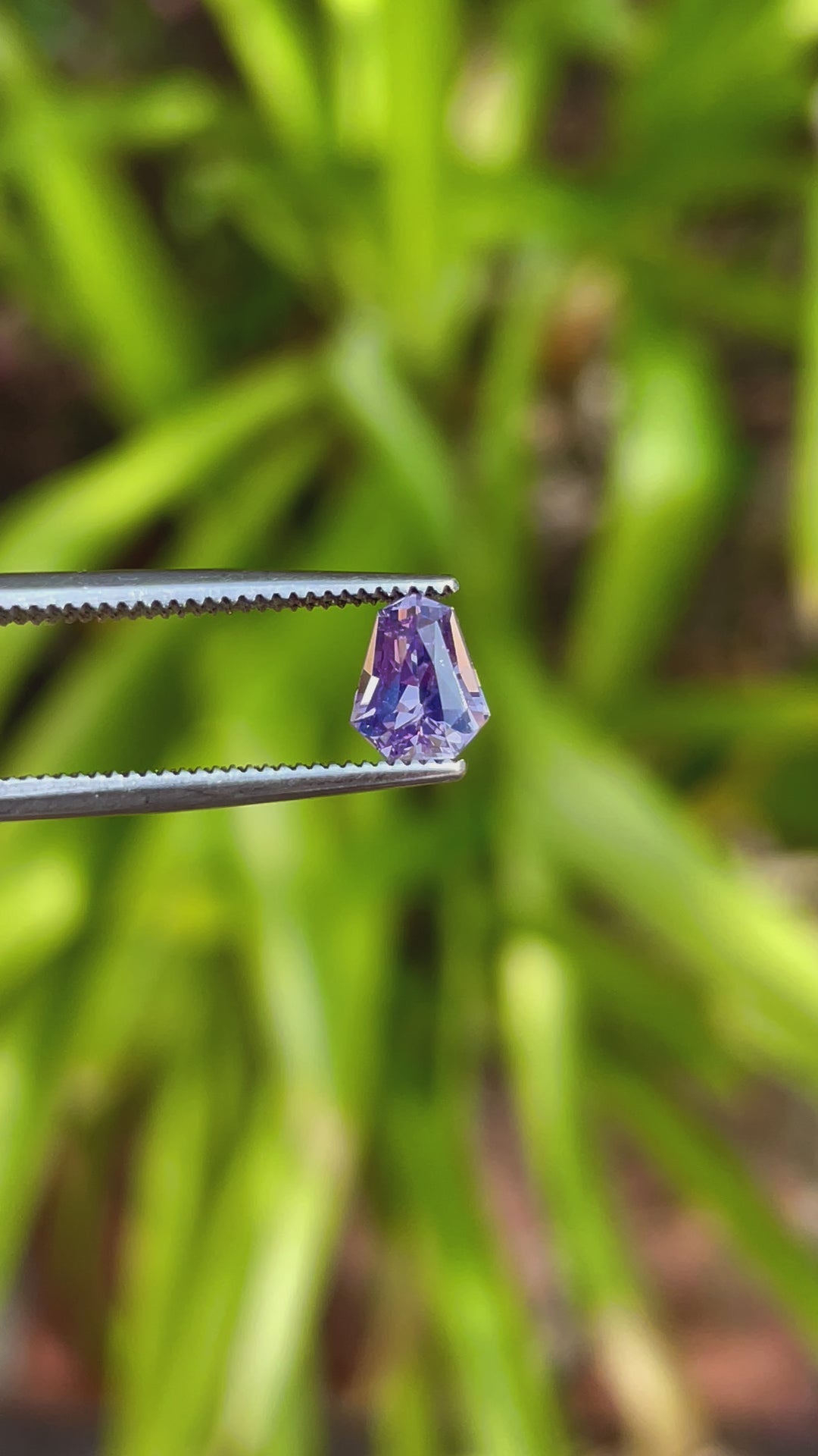 Dynamic presentation of a 1.14 carat sapphire, custom shield cut, capturing its interplay of pink, lavender, and blue hues under natural light, sourced from Sri Lanka.