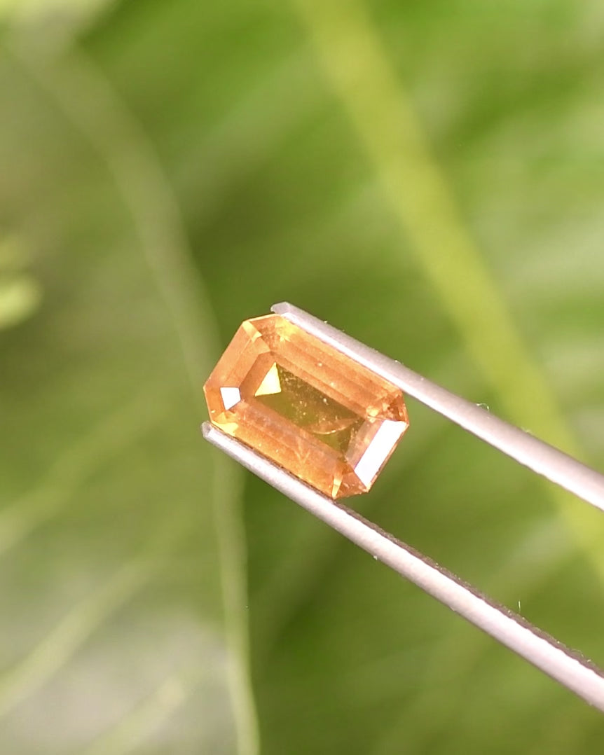 Video of 1.57CT brown yellow sapphire rotating in tweezers under natural light, showing warm golden hues and step-cut brilliance of its modified emerald cut, unheated sapphire from Umba River Valley, Tanzania.