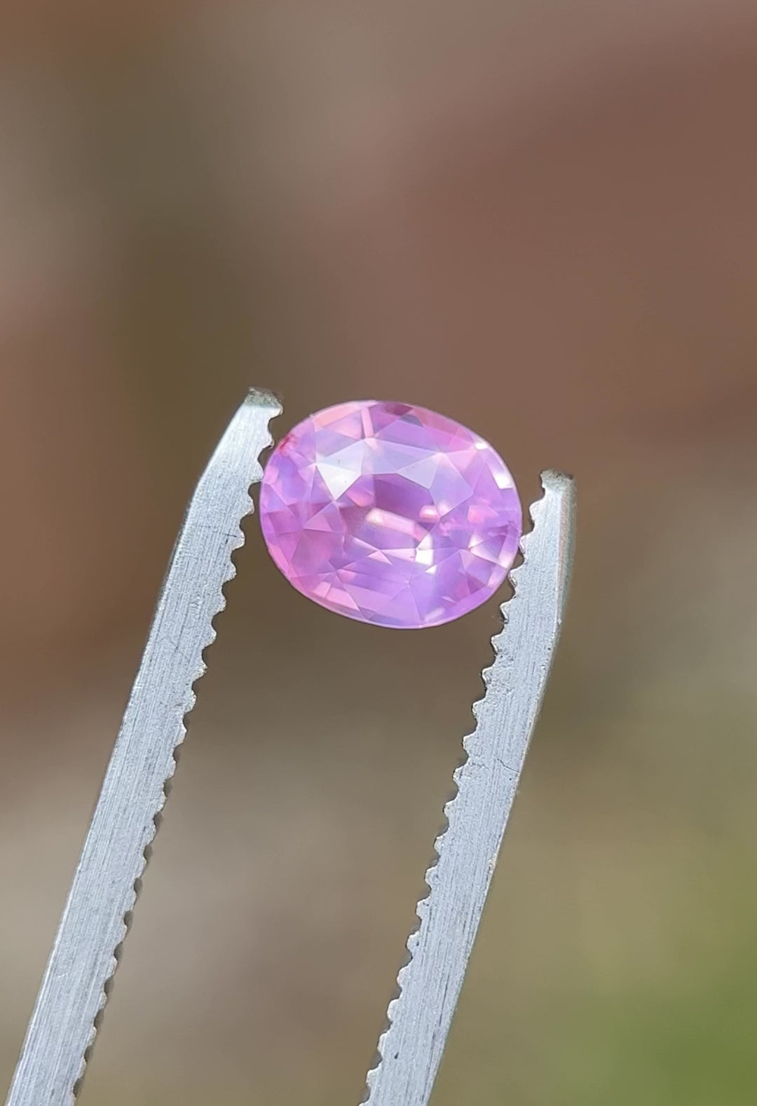 Rotating view of 1.21CT pink sapphire in tweezers showing brilliance and clarity – heated oval cut from Sri Lanka