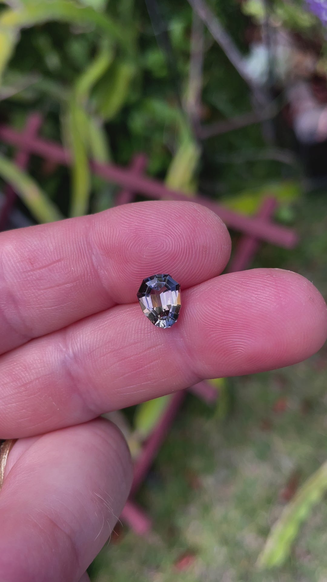 Interactive video featuring a 2.10 carat Tanzanite gemstone, demonstrating the gem's geometric pear shape and vibrant color spectrum from purple to yellow to green. The video highlights the natural beauty and distinct characteristics of this Tanzanian Tanzanite, displayed in a serene outdoor setting.