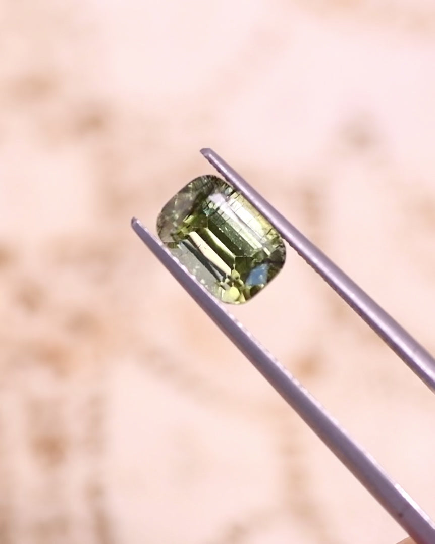 2.45CT Peridot: Green Black Cushion Mix Cut