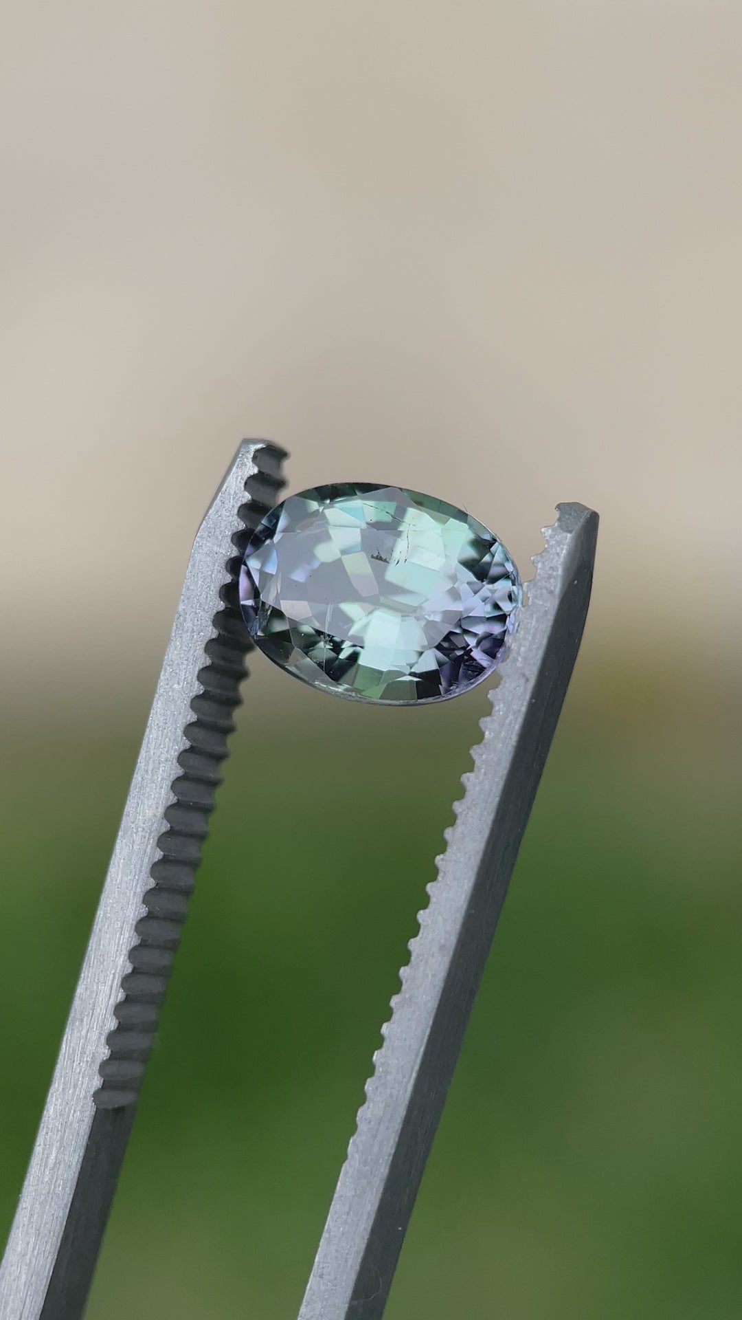 Close-up video of an unheated Tanzanite under tweezers, showing precision oval faceting and dynamic mermaid hues.