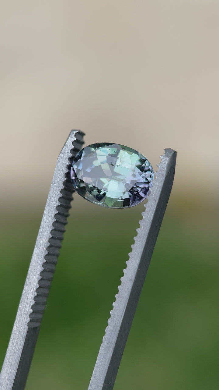 Close-up video of an unheated Tanzanite under tweezers, showing precision oval faceting and dynamic mermaid hues.