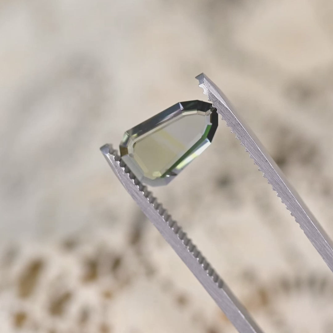 Close-up video of 1.42ct yellow green blue Tanzanite portrait cut held in tweezers, thin shield shaped gemstone from Tanzania displaying clarity, unique faceting and designer appeal