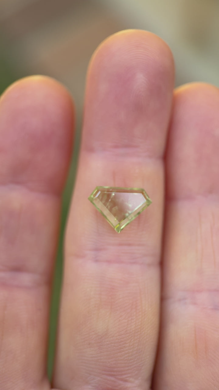 Natural light video of a 3.03ct earthy green sapphire from El Dorado Bar, Montana, with custom shield portrait cut.
