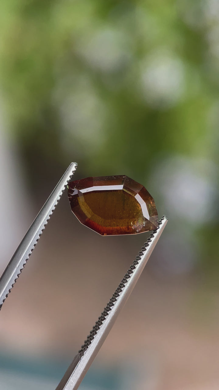 A rotating 3.78-carat cognac sapphire with a custom leaf portrait cut. The video captures the gemstone's warm brown hues and brilliant facets as it rotates under natural light. The untreated sapphire is from the Umba River, Tanzania, and measures 12.76mm by 4.78mm by 3.80mm.