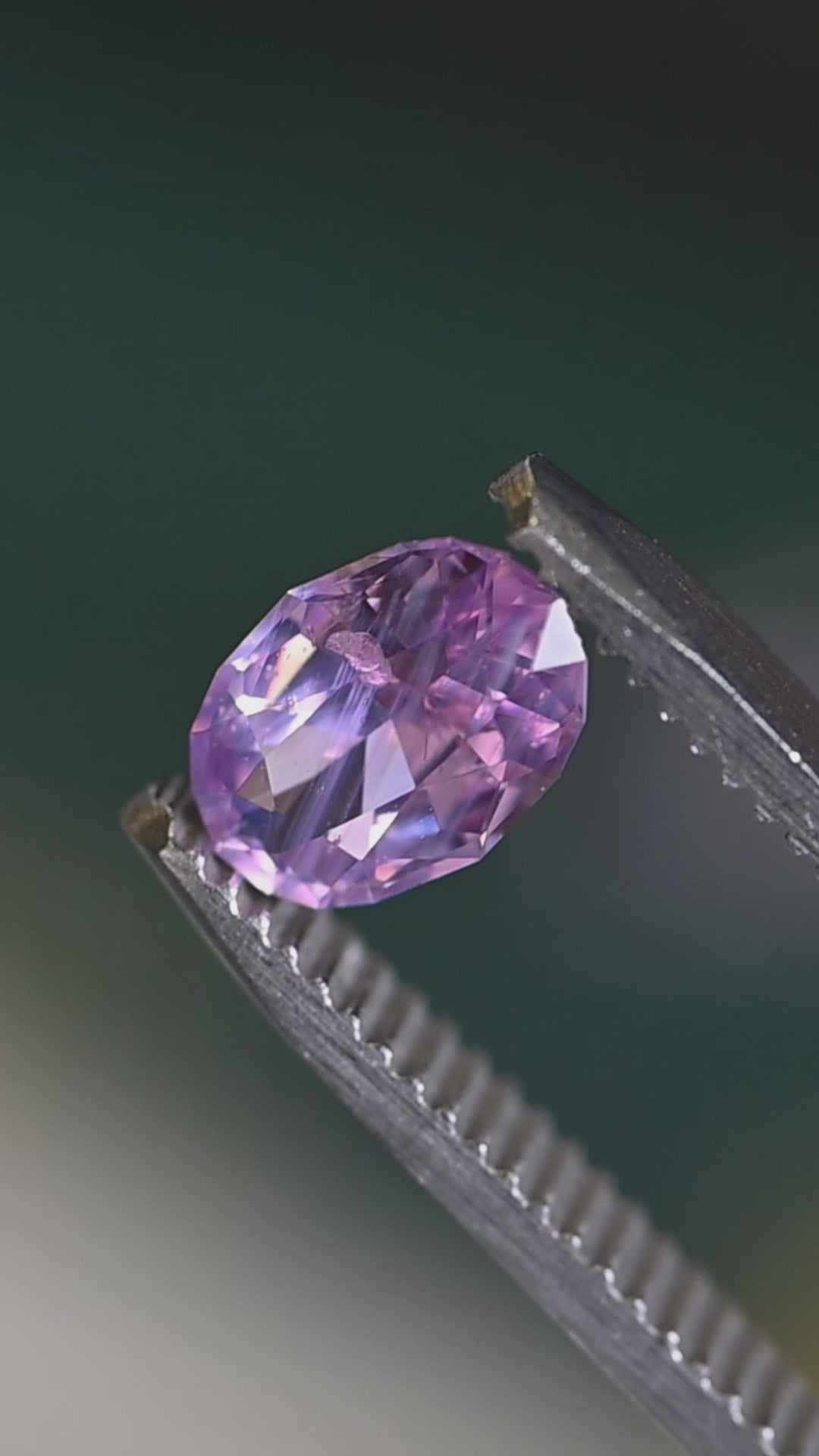 Opalescent pink purple sapphire 1.50 carats precision oval mix cut shown in tweezers under natural light